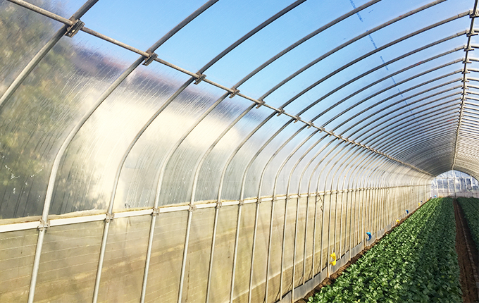 XINJIANG RIVAL TECH CO.,LTD